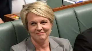 Labor government 'absolutely committed' to action on the climate crisis
