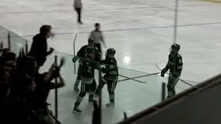 Boys Hockey 2025 at Braintree (state tournament) highlights