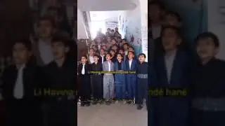 Baranê bibar bibar