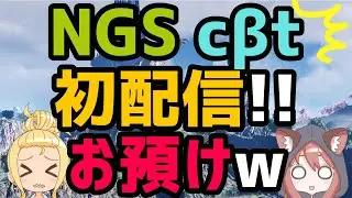【PSO2：NGScbt配信】第2回クローズド&beta;テスト初プレイ&hellip;寸前で悲劇の鯖落ち！【ゲームー大陸】