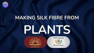 🌼MAKING SILK FIBRE FROM PLANTS | VIKSIT BHARAT BUILDATHON 2025🌼