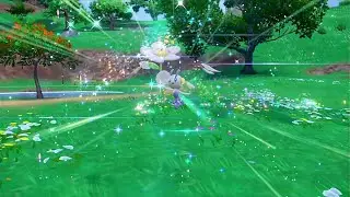 PEV : Floette Fleur Blanche (White Flower Floette) Shiny 2
