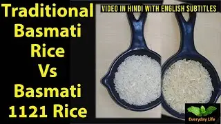 Difference between Traditional Basmati Rice and Basmati 1121 Rice | Basmati Rice | Everyday Life ...