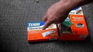 The Best Ant Bait To Get Rid Of The Whole Ant Colony