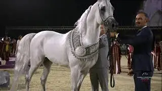 Global Champions Arabians Tour Riyadh 2025 - Closing Ceremony