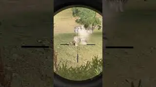 Ambush Intense Combat | Nuestro Discord  