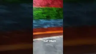 #catform