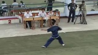 Shaolin wushu [ZhengZhou] Shi San Qiang