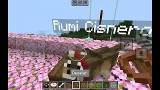 Comandiu tiene novia 