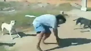 video ingracado