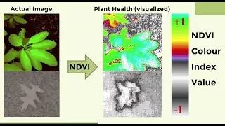 Plant Health Monitoring using NoIR and vSLAM for Drones || Project INFRA || Northeastern University
