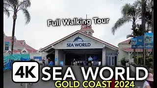 4K Sea World Gold Coast 2024 | Full Theme Park Walkthrough | Gold Coast, Australia