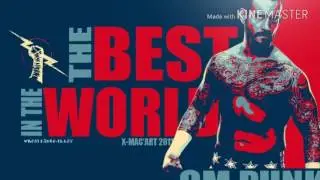 WWE CM Punk Chants