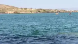 Topock 66 rope swing