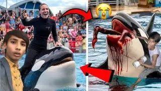 Jessica Death Was Caused By Her Dolphin 🐬 Fish, Awais Ate Her 
