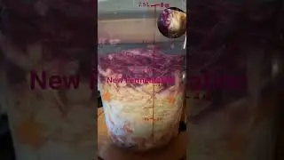 New fermentation experiment #health #food #fermentation