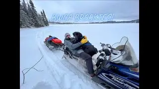 BWCA brook trout fishing