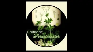 Heidmann  -  Forestmaster