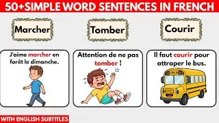 If You Truly Want to Speak French, Start Here| French Sentences