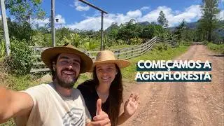 Plantio Convencional x Agrofloresta: Qual Sistema &eacute; Melhor?