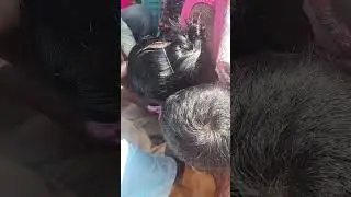 😍சொந்த ஊருக்கு போறோம்🥰பாப்பாக்கு மொட்டை அடிக்கிற vlog🥰 மதுரை கள்ளழகர்😎 திருவிழா🙏 🤗