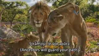Mufasa: The Lion King - Milele (Romanian) Subs & Trans