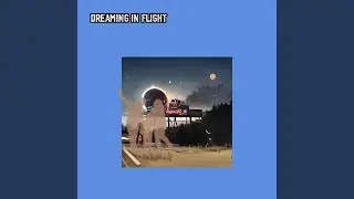 Dreaming In Flight