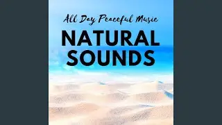 Massage Therapy Relaxation Tone