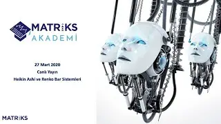 Heiken Ashi ve Renko Barlar
