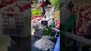 unique tool to produce cassava extract #shorts