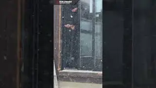 Any Weather