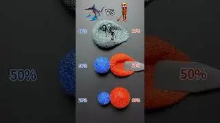 Italian brainroot color mixing in different percentage