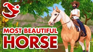 Star Stable - Buying the NEW Birthday American Paint Horse!