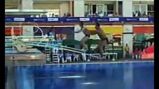 the dive - le plongeon