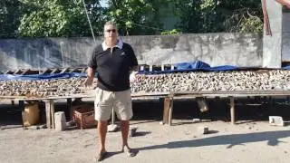 Thulusdhoo, Maldives sea cucumber processing plant