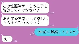 【LINE】夫母から突然ブチギレ連絡「もう息子を解放してあげて！あの子を不幸にして楽しい？」「3年前に離婚してますが」→勘違い姑が真実を知って顔面蒼白にwww