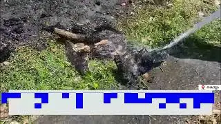 SOUTH VISION NEWS_കൊല്ലത്ത് രണ്ടിടത്ത് കുറ്റിക്കാടിന് തീ പിടിച്ചു.