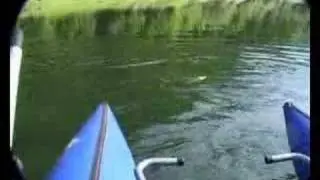 Erfolgreiches Fliegenfischen auf Hecht