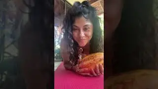 Virtual Cacao Ceremony & Cacao information