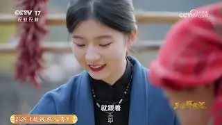 《三农群英汇》 20260129 杏花与她的晒秋画布 | 农业致富经 Agriculture And Farming