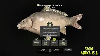 рр4 озеро Янтарное Карпы. Карп голый призрак на 16кг. amber lake 16.06.2022