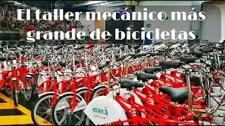 Visit&eacute; el taller donde reparan las ecobicis/Hay tips para ser usuario pro