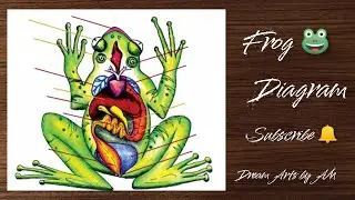 how to draw a frog 🐸diagram| Frogs diagram|#howtodrawafrog