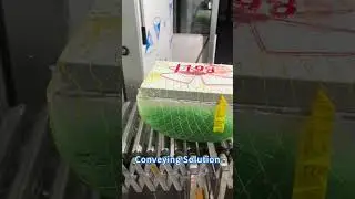Frozen Goods in Plastic Crates Conveying Solution for Cold Storage with Powered Roller Conveyor