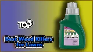 ✅ Best Weed Killers for Lawns | Top 5 Pikes For All Time