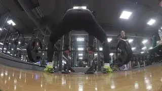 The 