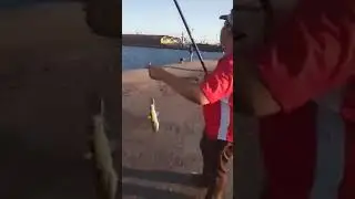الصيد في بورسعيد