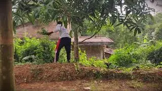 Sustainable Farming: Free Animal Feed from Your Backyard _FarmersLife _Shorts