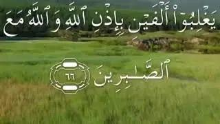 سورة الانفال صفحة ١٨٥ مكتوبة مكررة بصوت عذب للغامدي