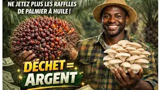 🚨TU NE JETTERAS PLUS JAMAIS TES RAFFLES DE PALMIERS &Agrave; HUILE APR&Egrave;S CETTE VID&Eacute;O, C'EST DU CASH DORMANT